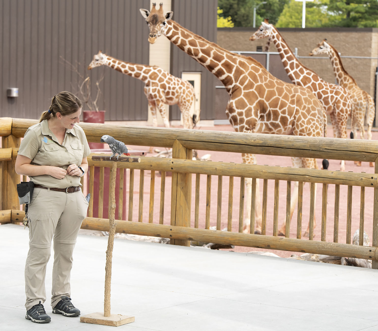 Wild Safari Theater